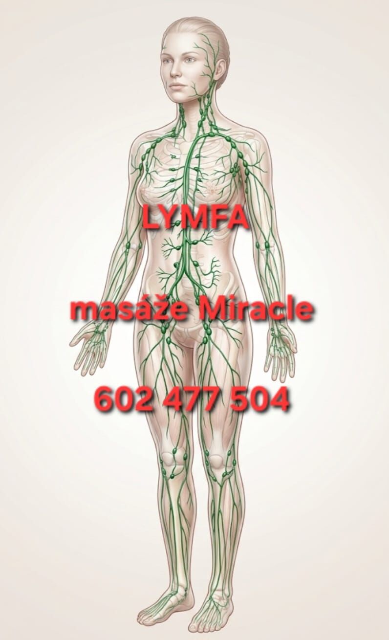 lymfa1778087597.jpg
